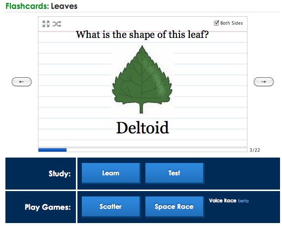 Quizlet App For Ipad