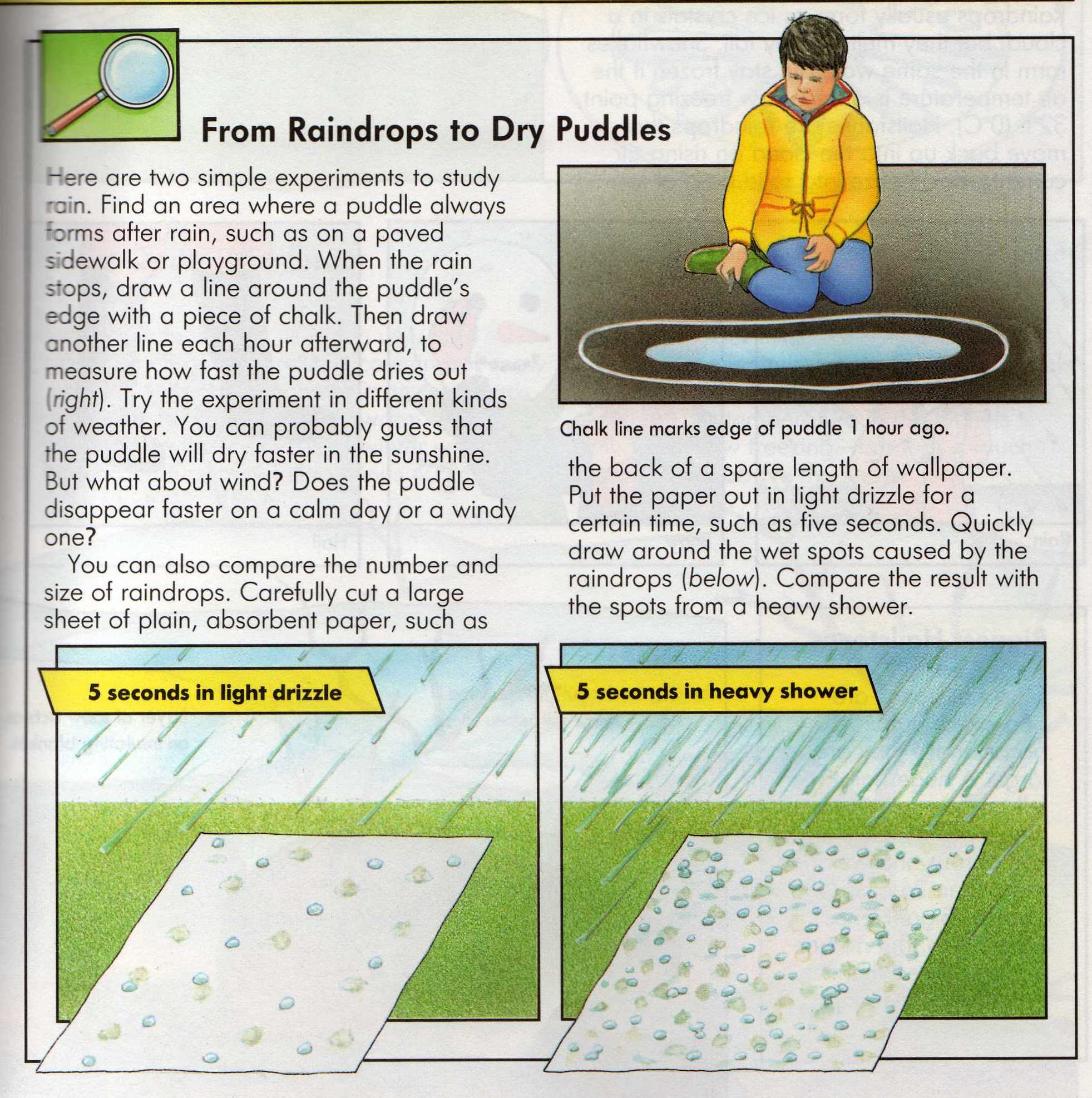 Rain Science Experiments For Kids