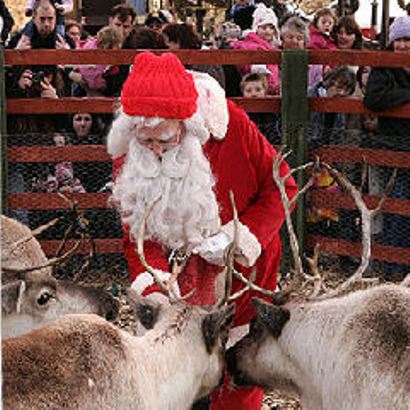 Real Pictures Of Santa And His Reindeer