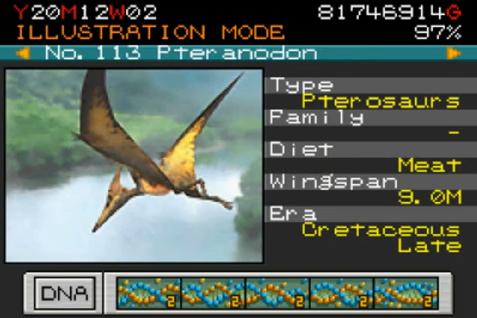 Real Pteranodon Dinosaur