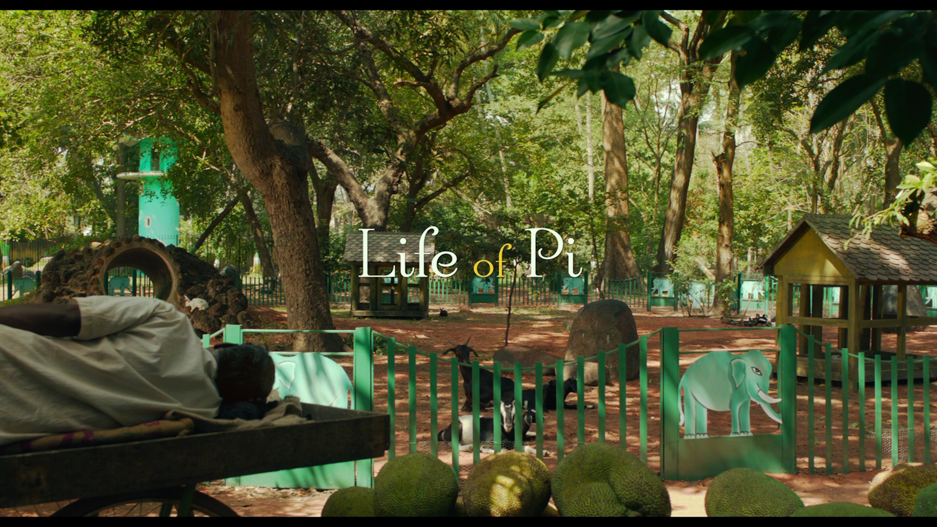 Reviews Of Life Of Pi For Kids