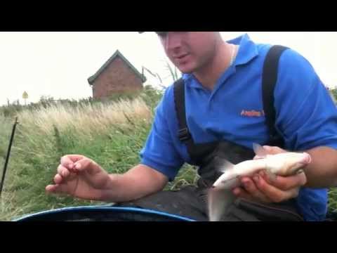 River Feeder Fishing Tips