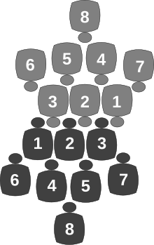 Rugby Positions