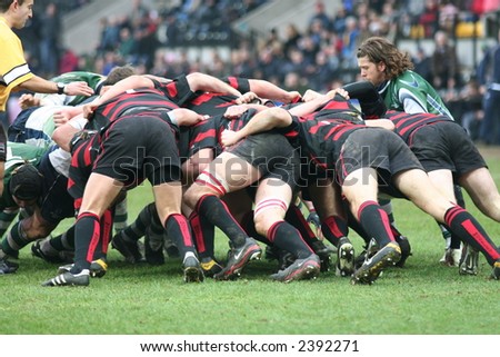 Rugby Scrum Half