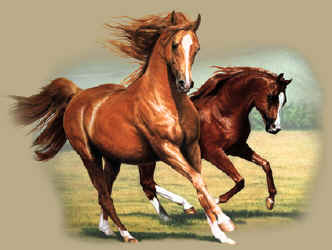 Running Horse