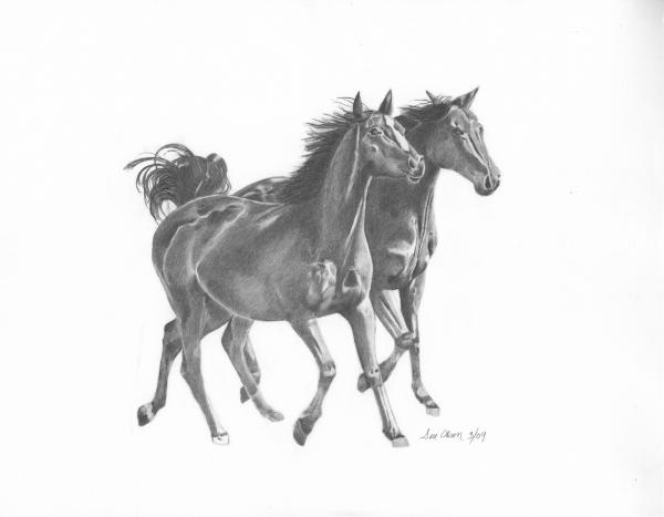 Running Horse Drawing