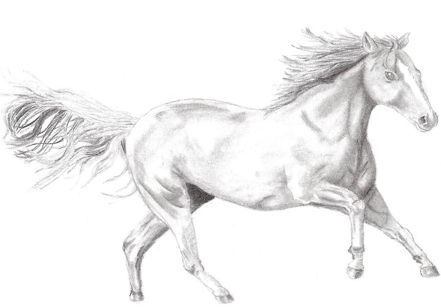 Running Horse Drawing