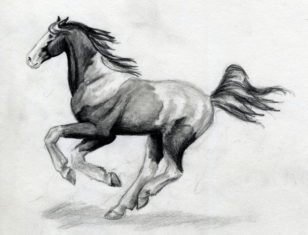 Running Horse Drawing