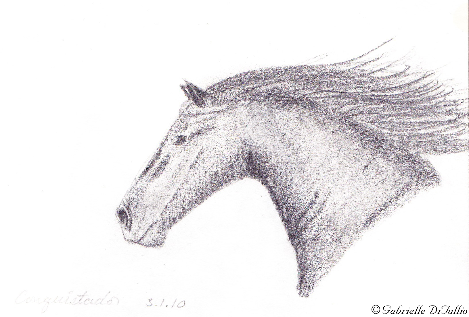 Running Horse Drawing