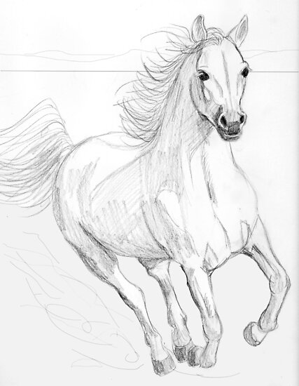 Running Horse Drawing