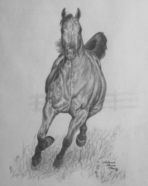 Running Horse Drawings In Pencil