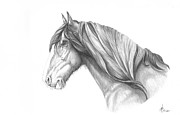 Running Horse Drawings In Pencil