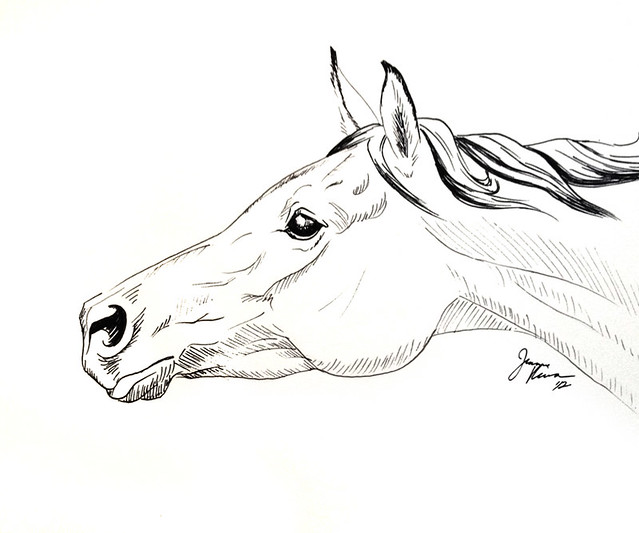 Running Horse Drawings In Pencil