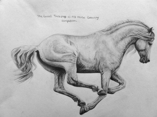 Running Horse Drawings In Pencil