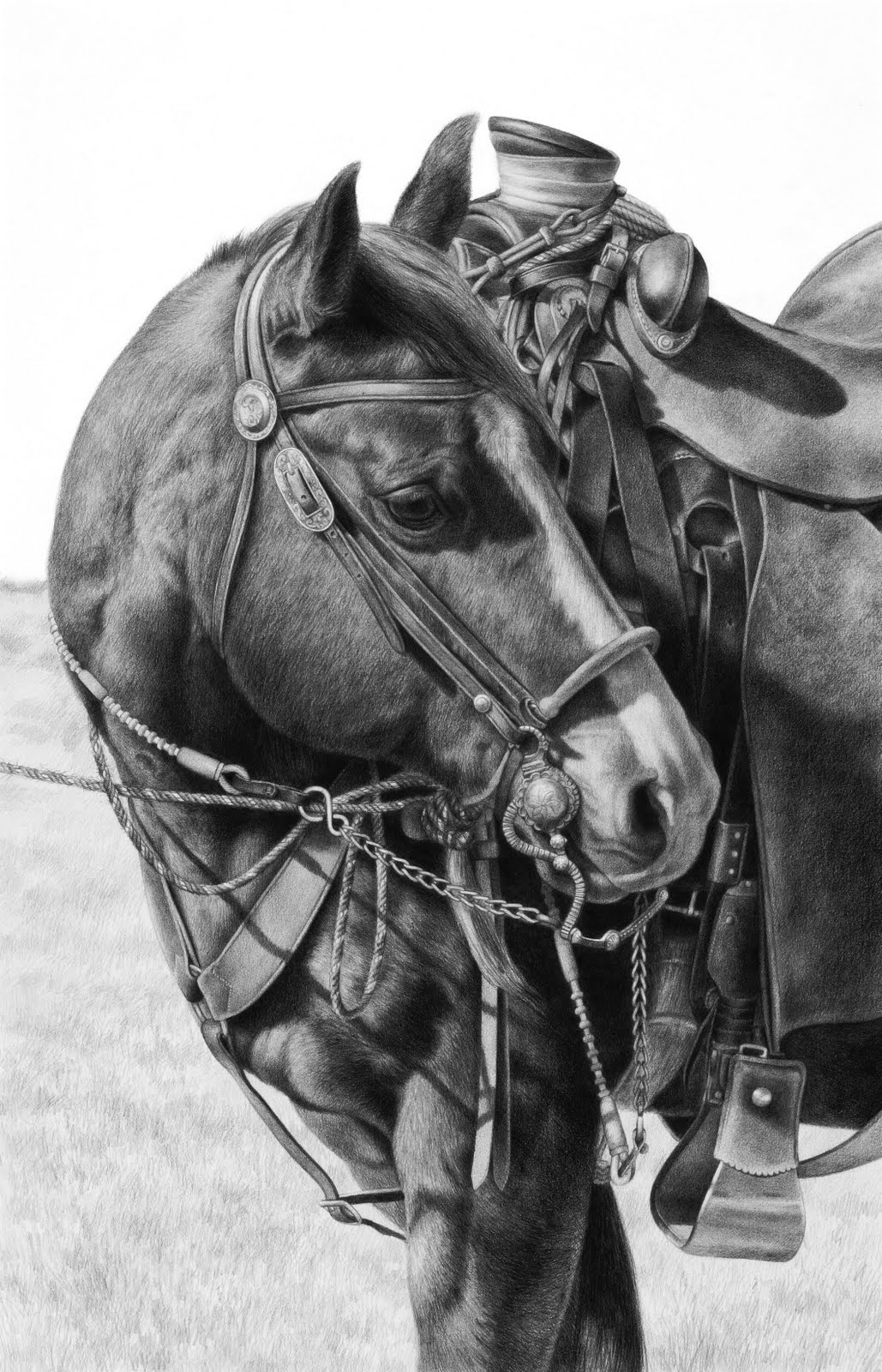 Running Horse Drawings In Pencil