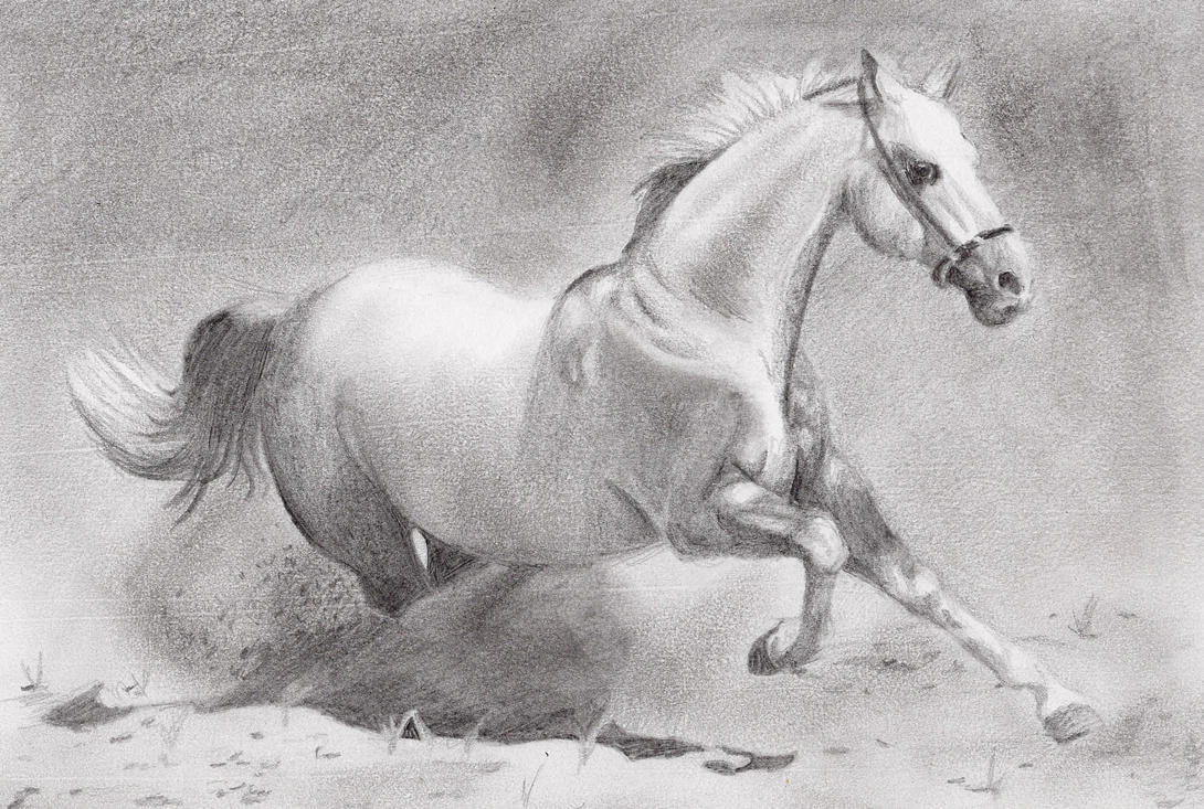 Running Horse Drawings In Pencil