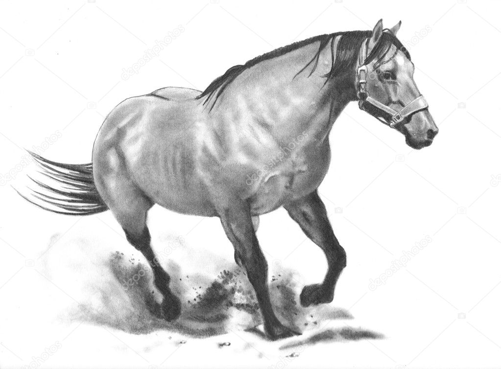 Running Horse Drawings Step By Step