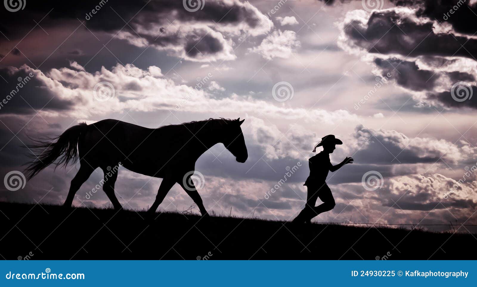 Running Horse Silhouette With Sunset