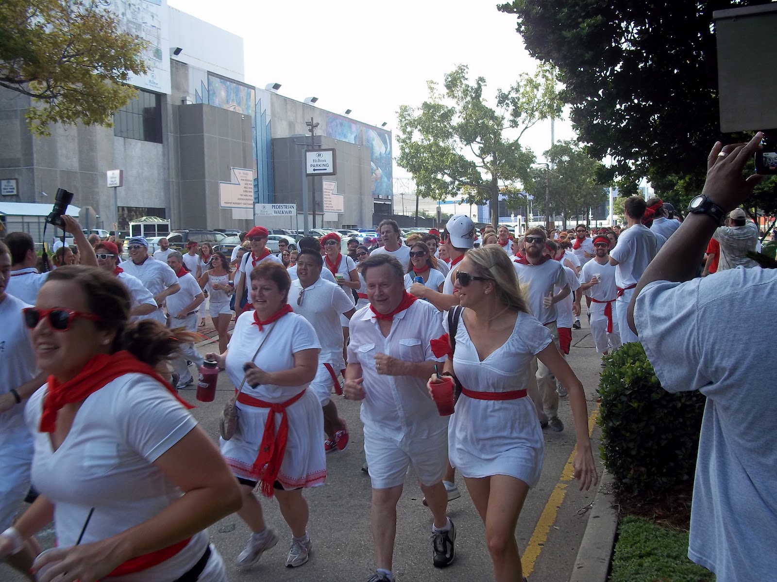 Running Of The Bulls New Orleans