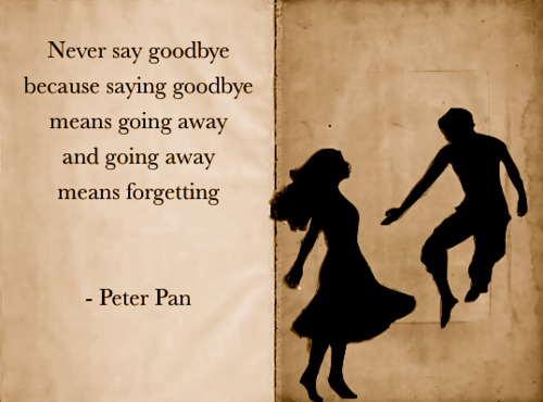 Sad Goodbye Quotes For Friends