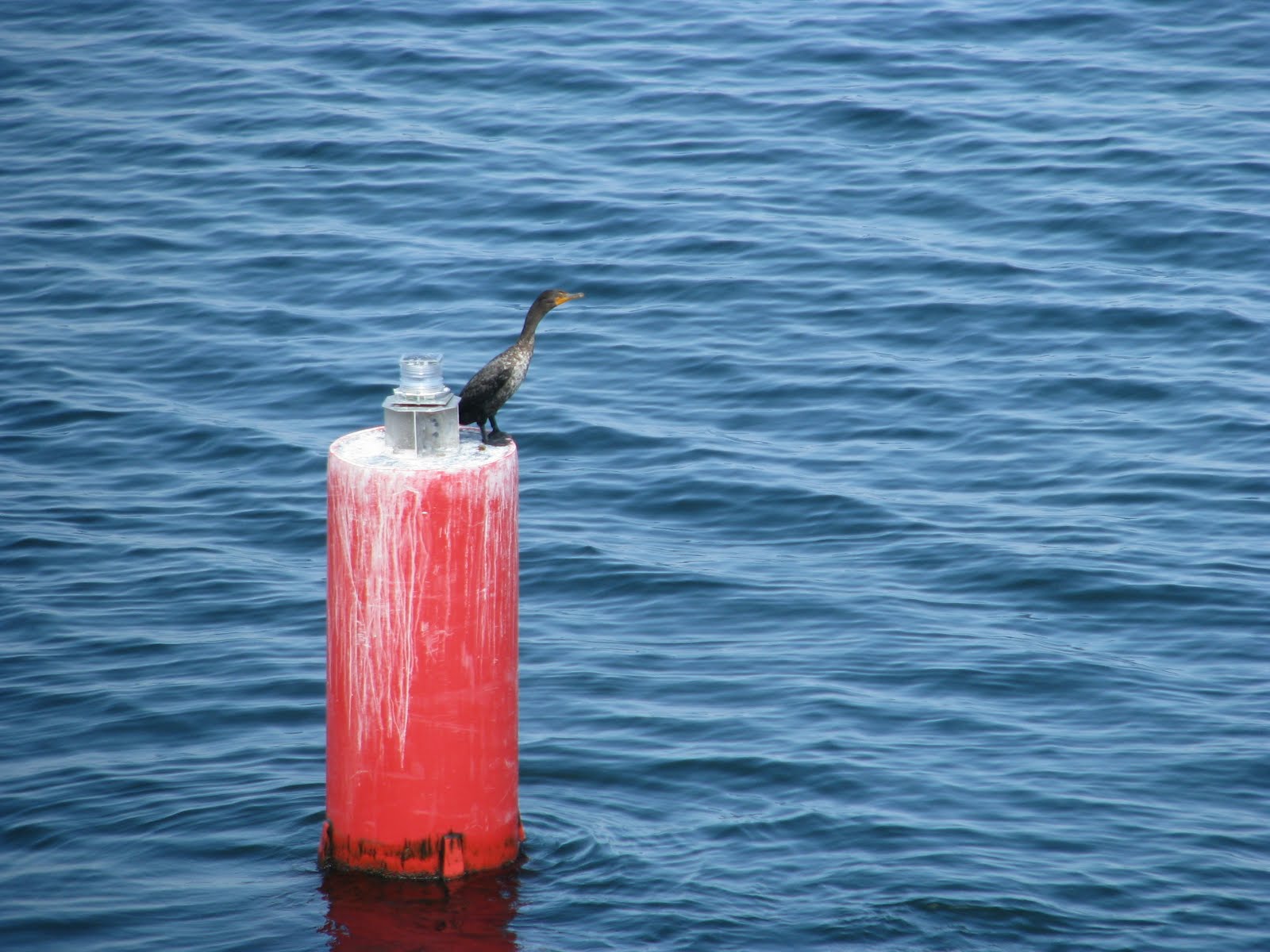 Safe Harbor Dam