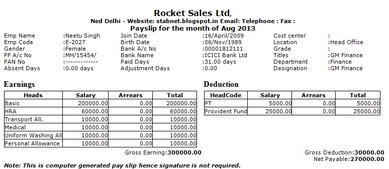 Salary Slip Excel Format