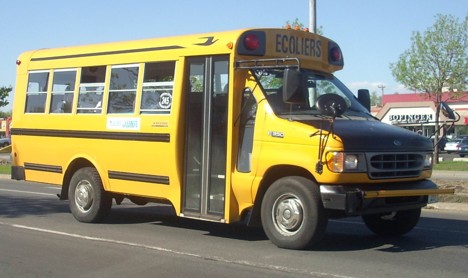 School Bus Pictures