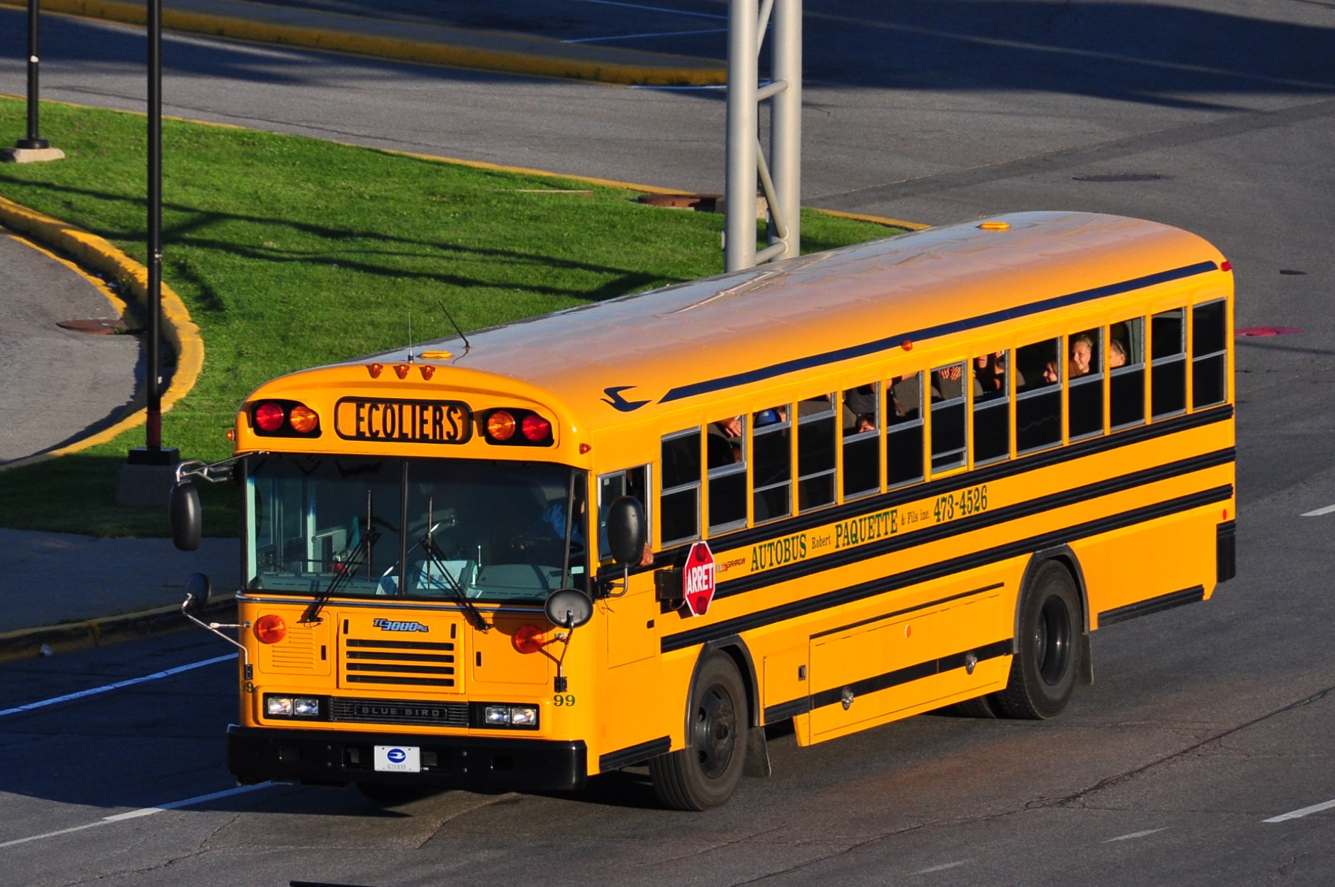 School Bus Pictures