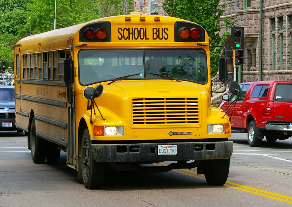 School Bus Pictures