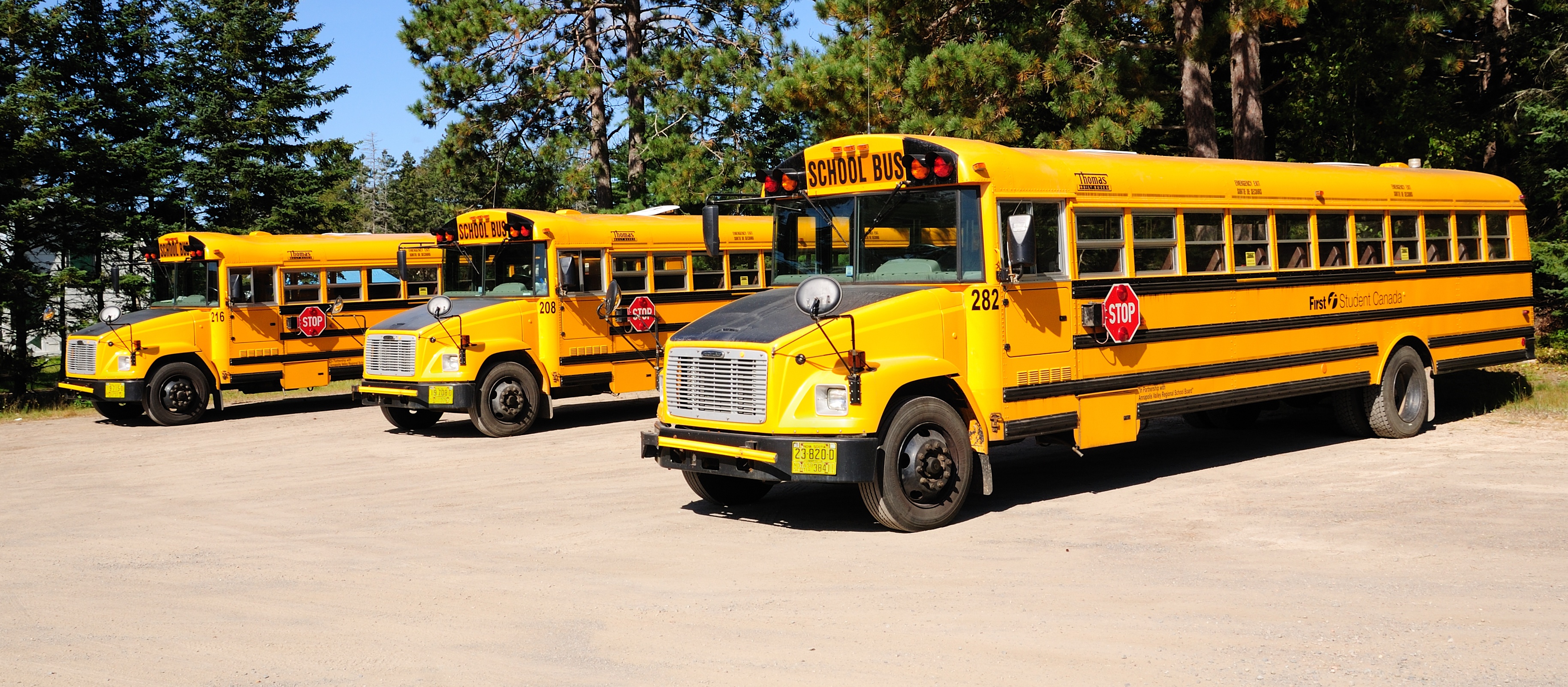 School Bus Pictures