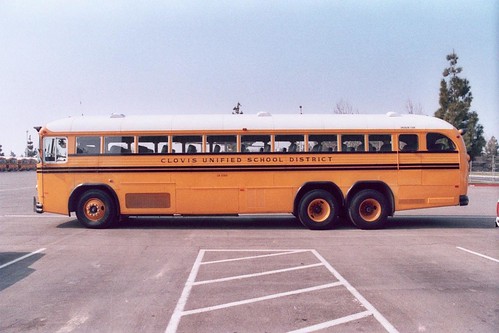 School Bus Side View