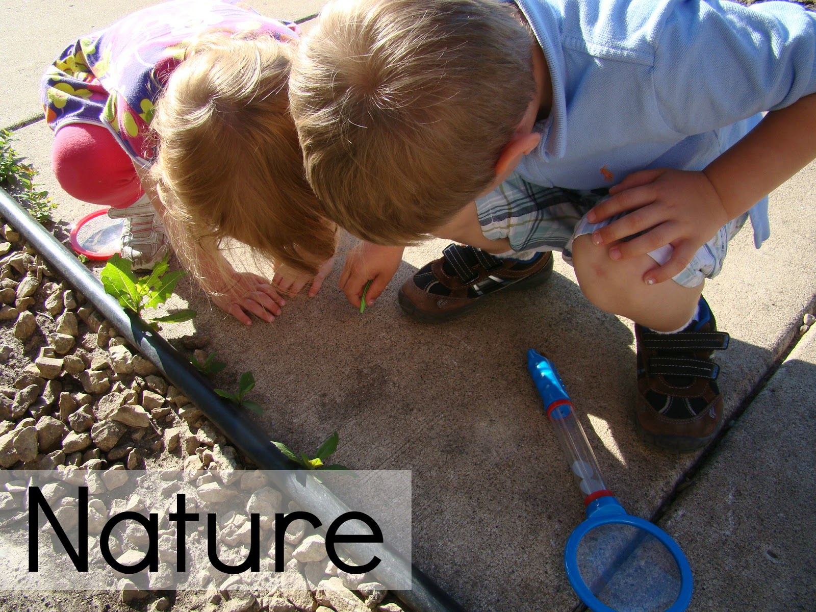 Science Experiments Ideas For Kids