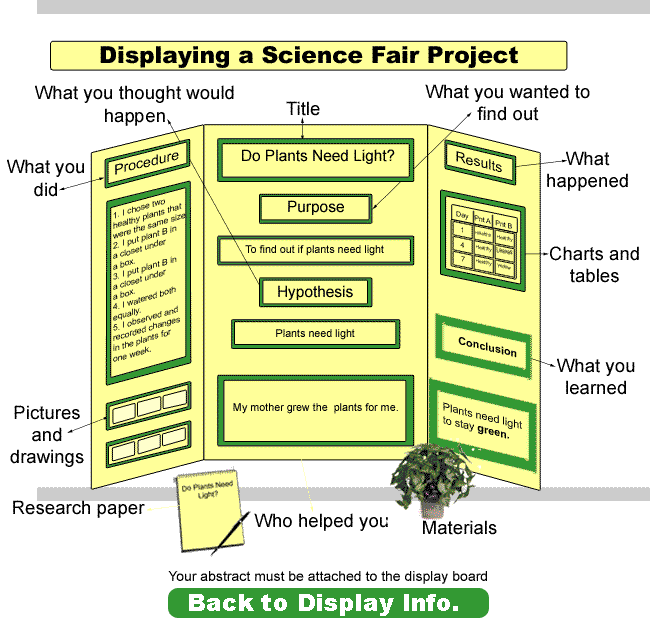 Science Fair Board