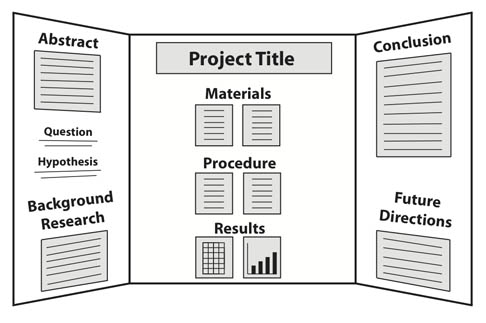 Science Fair Board Layout