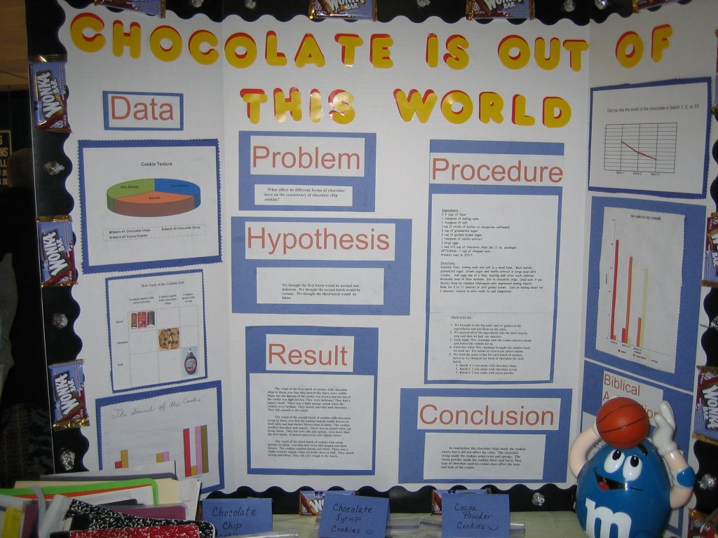 Science Fair Display Board