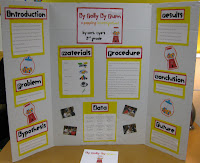 Science Fair Project Ideas