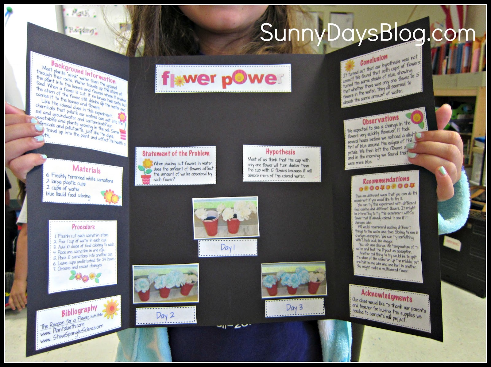 Science Fair Projects For 4th Graders