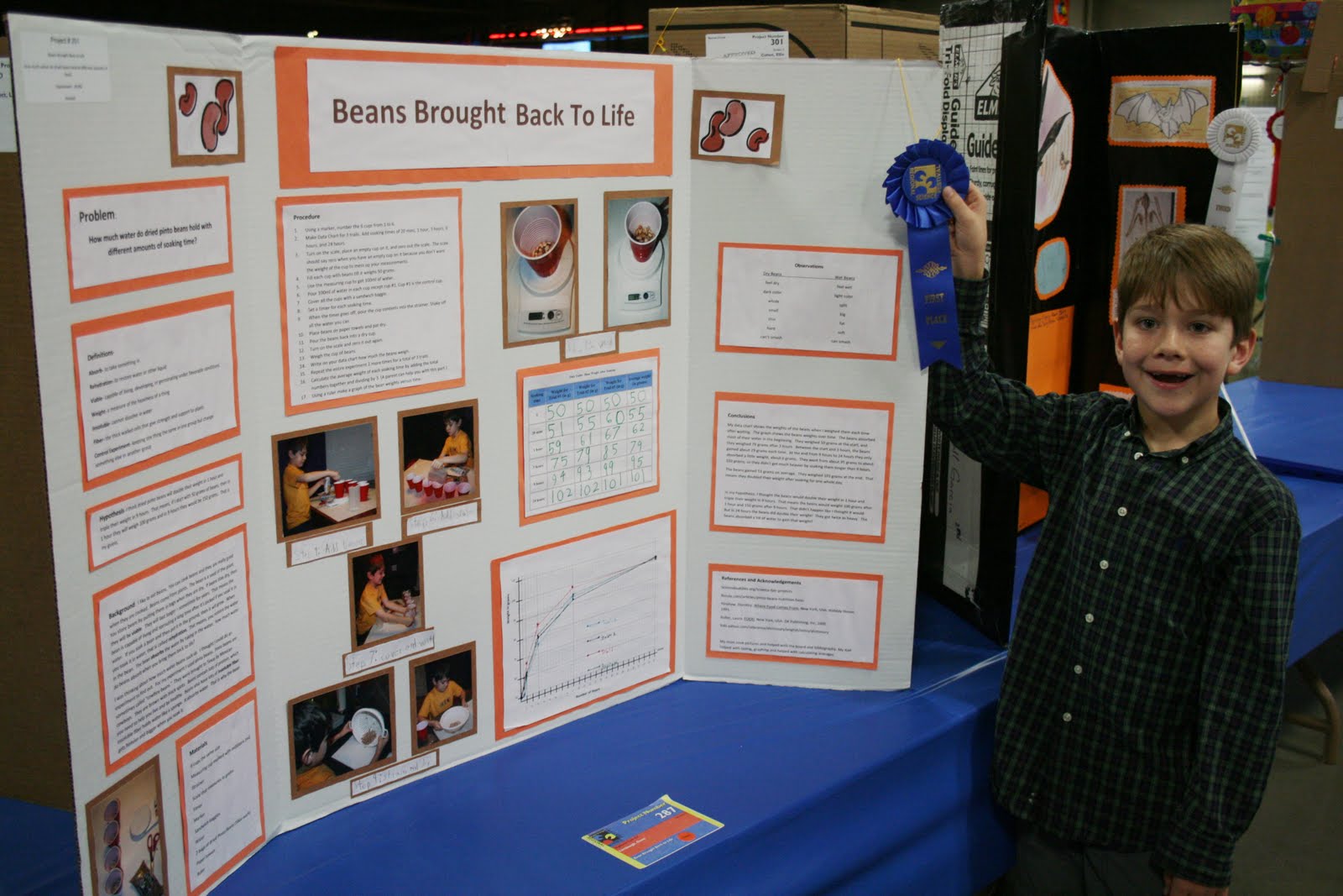 Science Fair Projects For 4th Graders