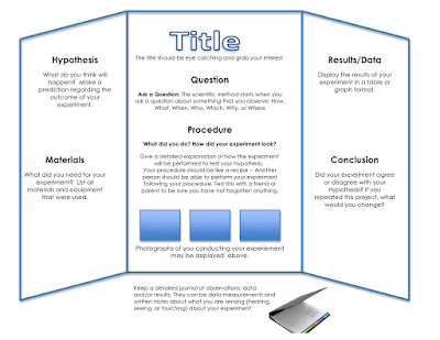 Science Fair Projects For 8th Grade