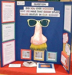 Science Fair Projects For 8th Grade