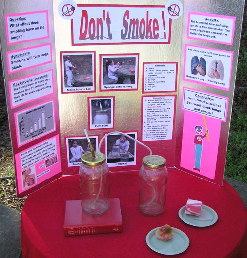 Science Fair Projects Ideas