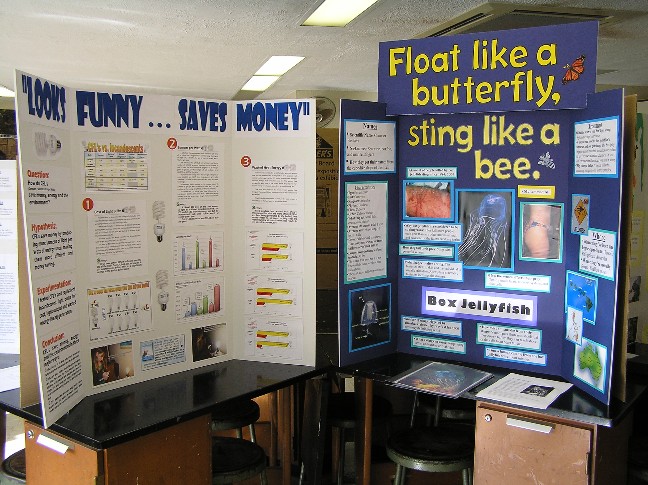 Science Fair Projects Ideas