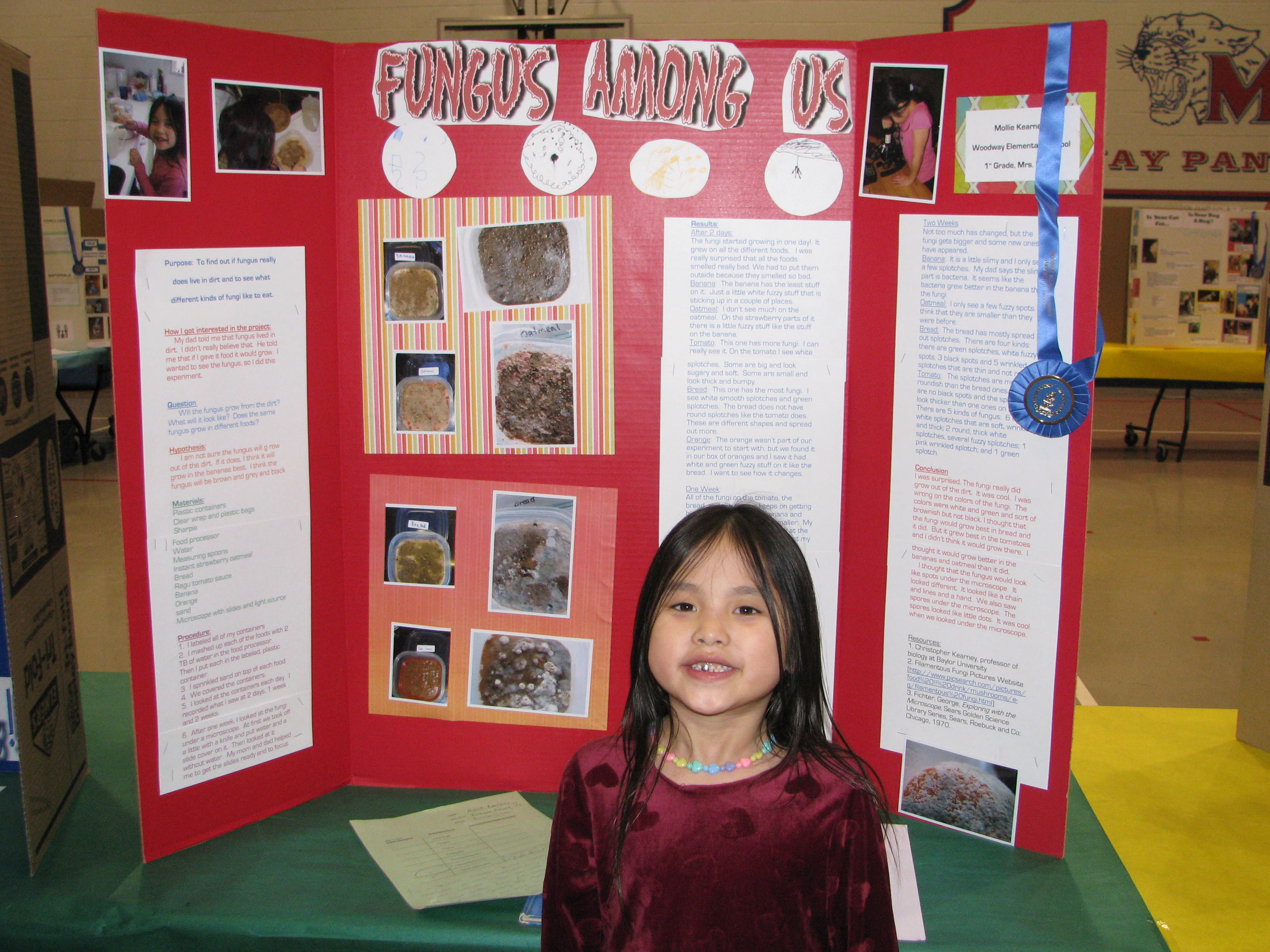 Science Fair Projects Winners