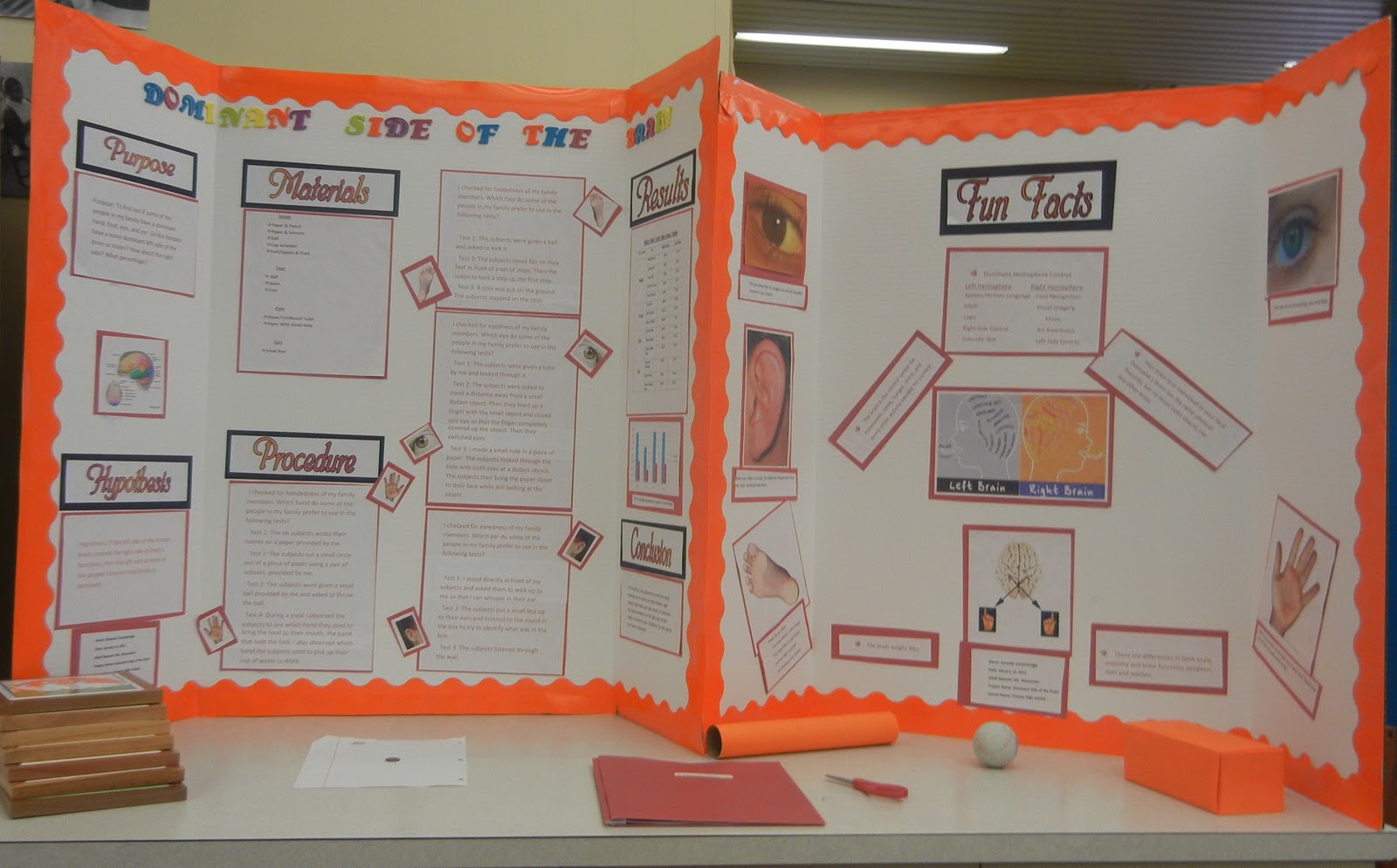 Science Fair Projects Winners High School