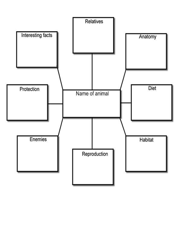 Science Lab Report Template Elementary School