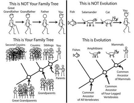 Science Pictures Cartoon