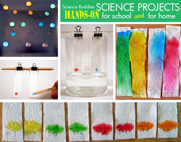 Science Projects Boards For Kids