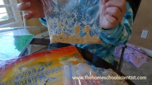 Science Projects Ideas For Kids 6th Grade