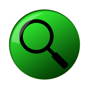 Search Button Icon