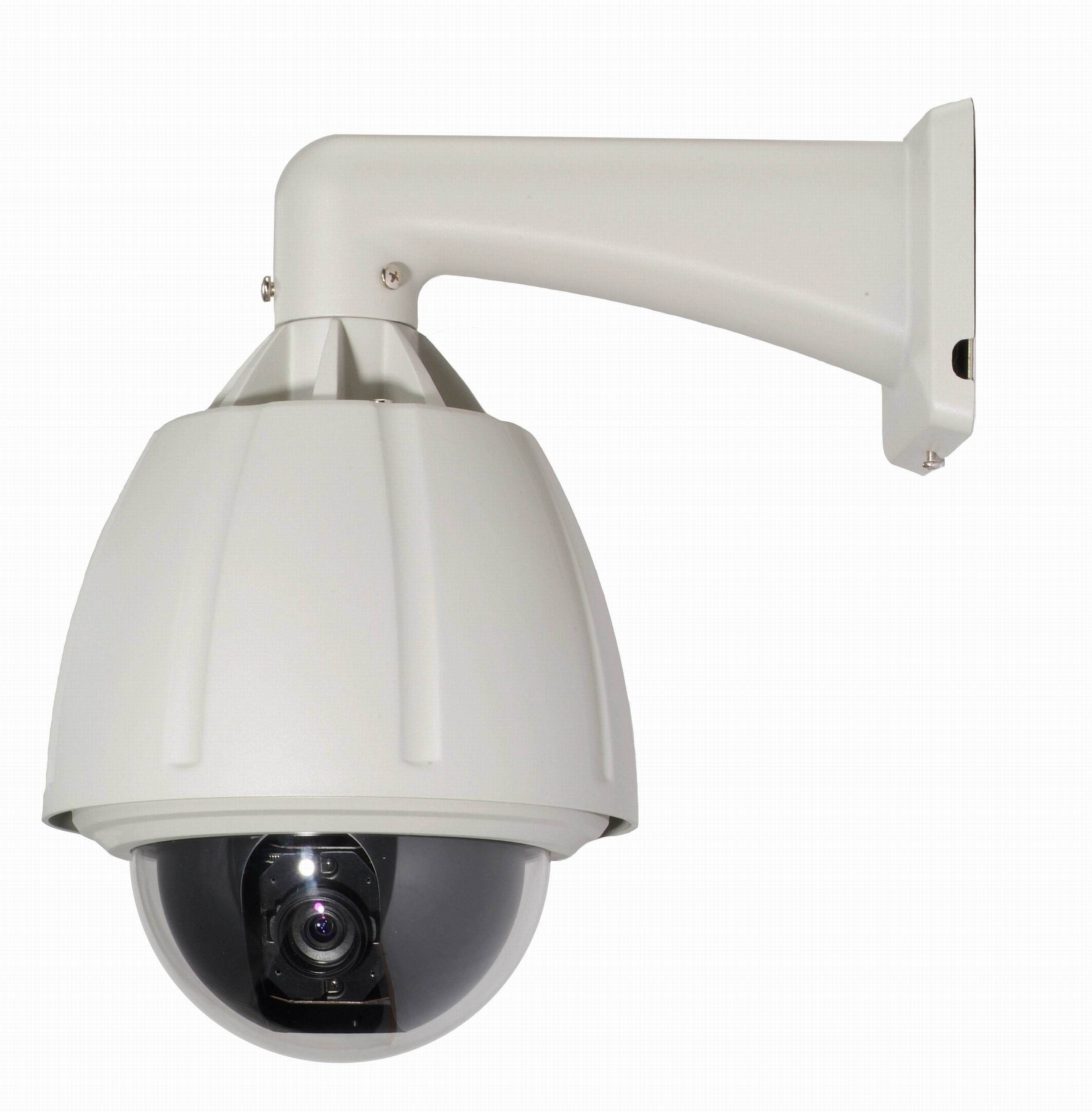 Security Camera Images